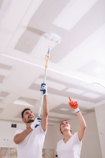 Best Mold Damage Restoration  in Edmundson, MO