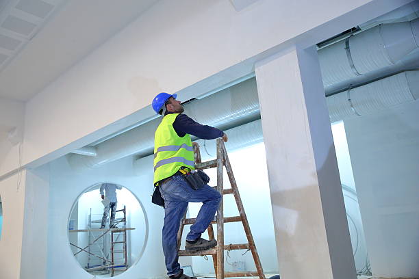 Best Mold Removal for HVAC Installations  in Edmundson, MO